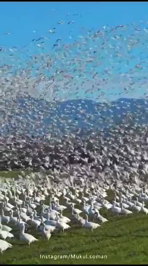 Natureza