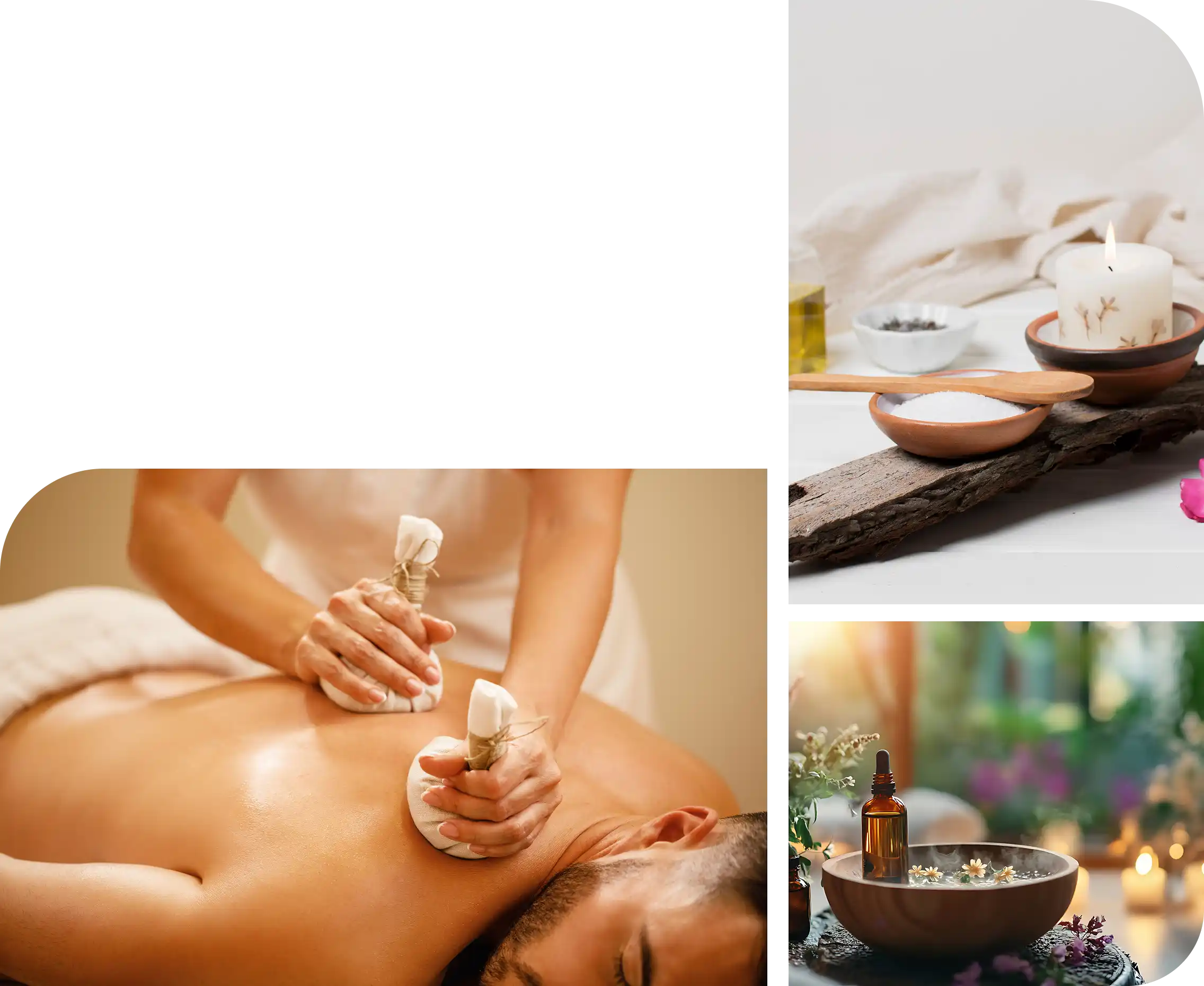 Ayurvedic treatments landscape therapy setup composition layout