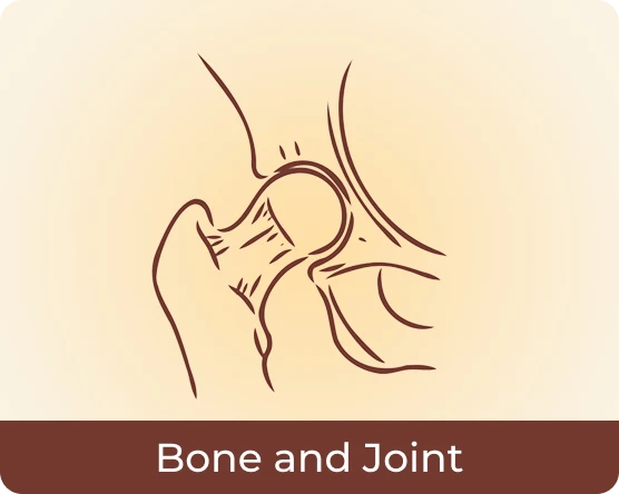 Bones & Joints