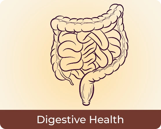 Digestive Health