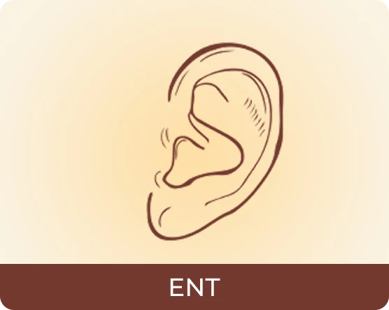 ENT