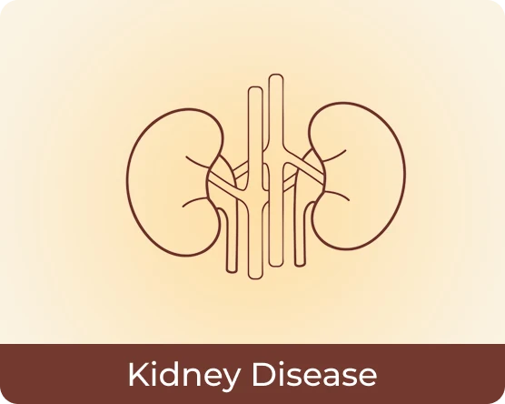 Kidney