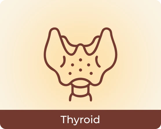 Thyroid