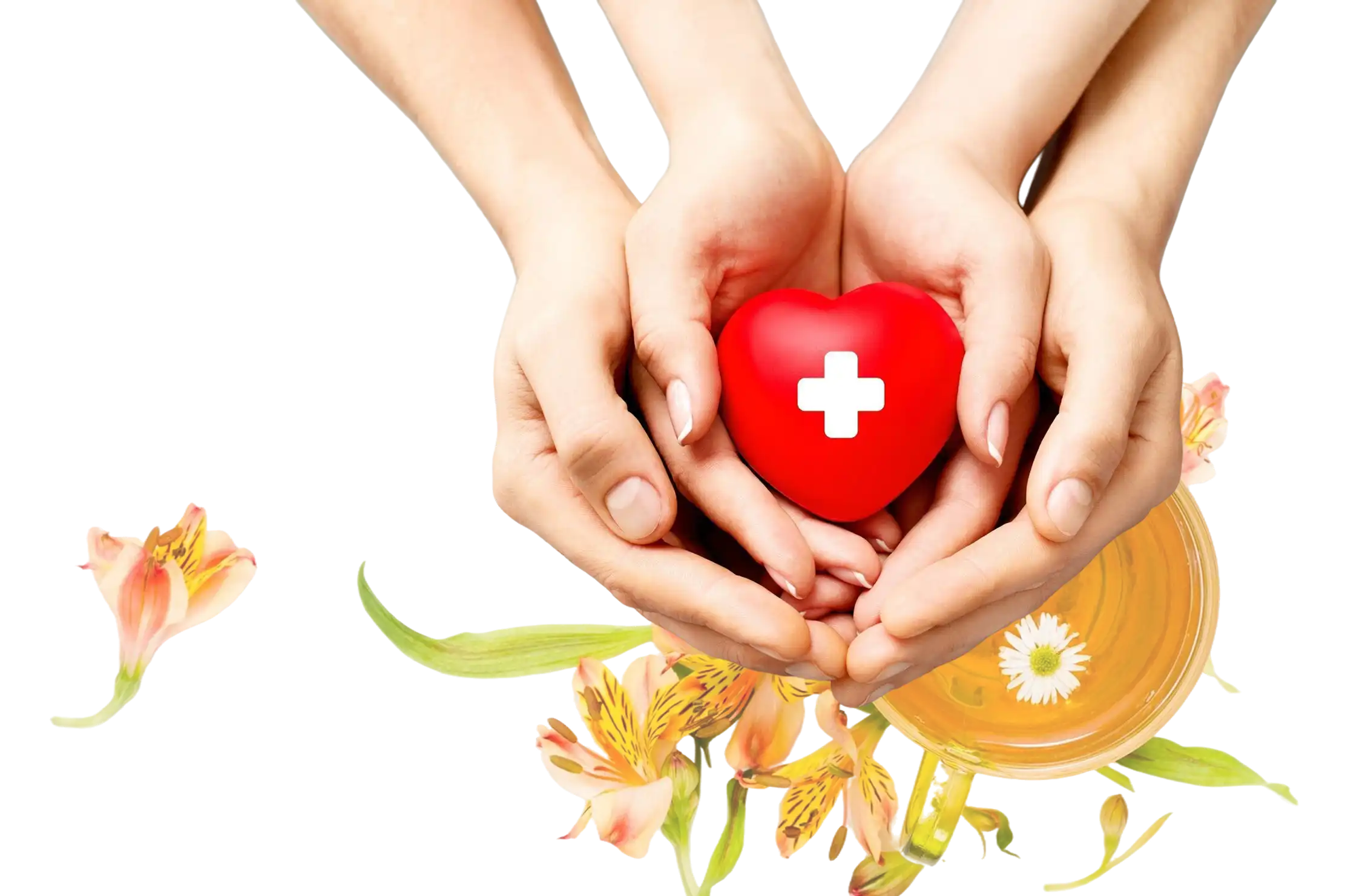 Expert Ayurvedic diagnosis and care.