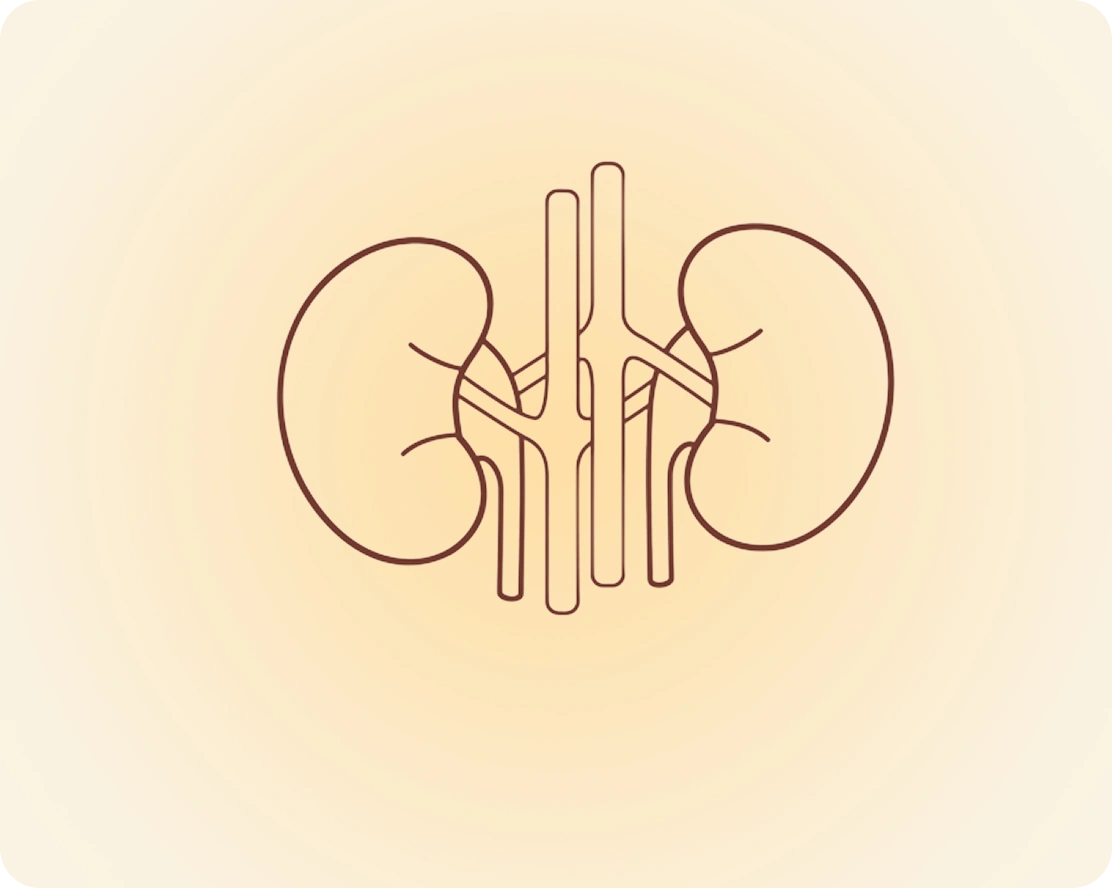 Kidney Disease