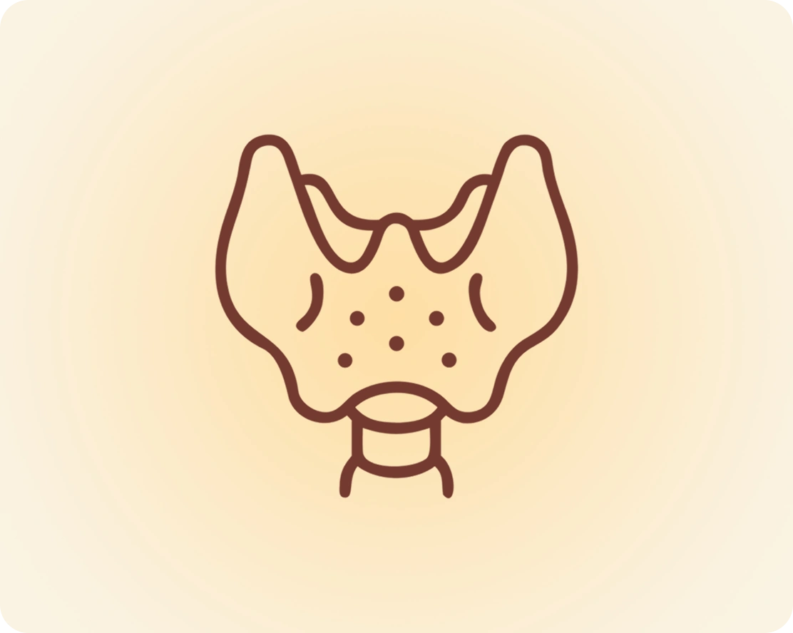 Thyroid