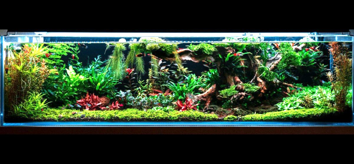 Weisglass 140L