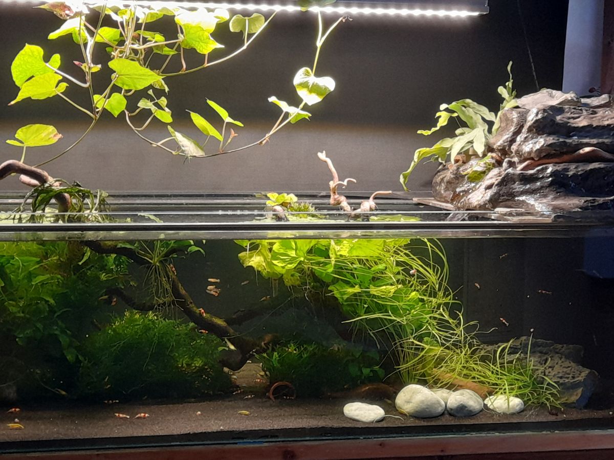 Wohnzimmer 120 x 50 x 30 cm