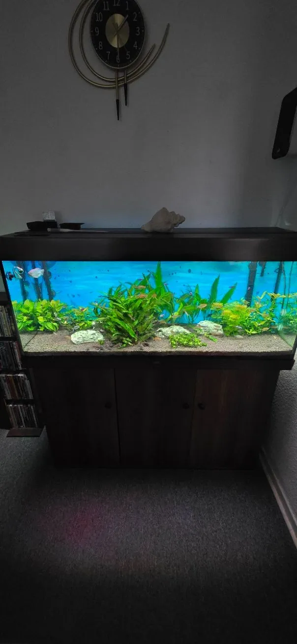 Südamerikaaquarium