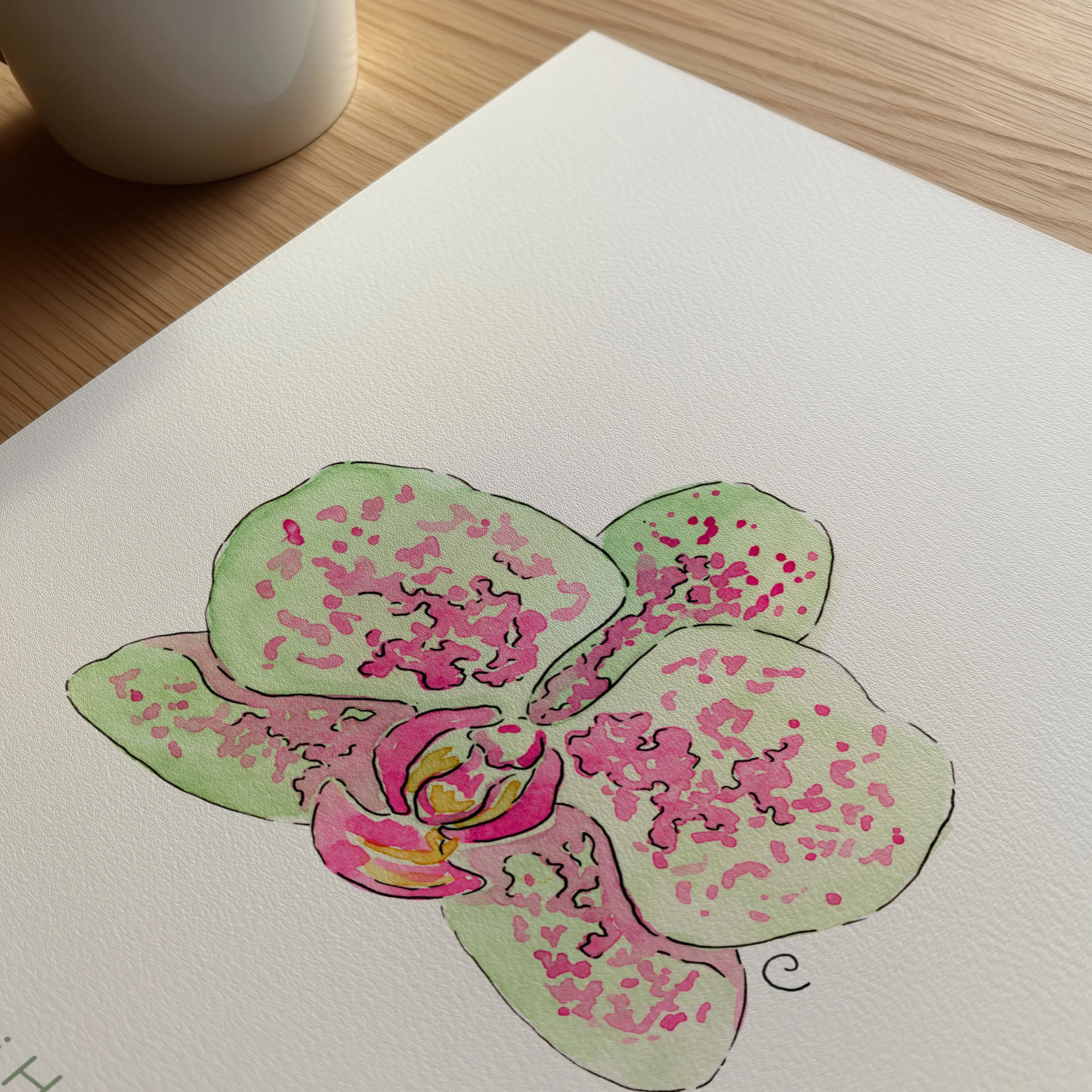 Orchidea