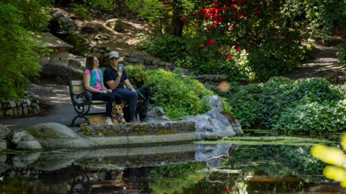 Ashland Scavenger Hunt