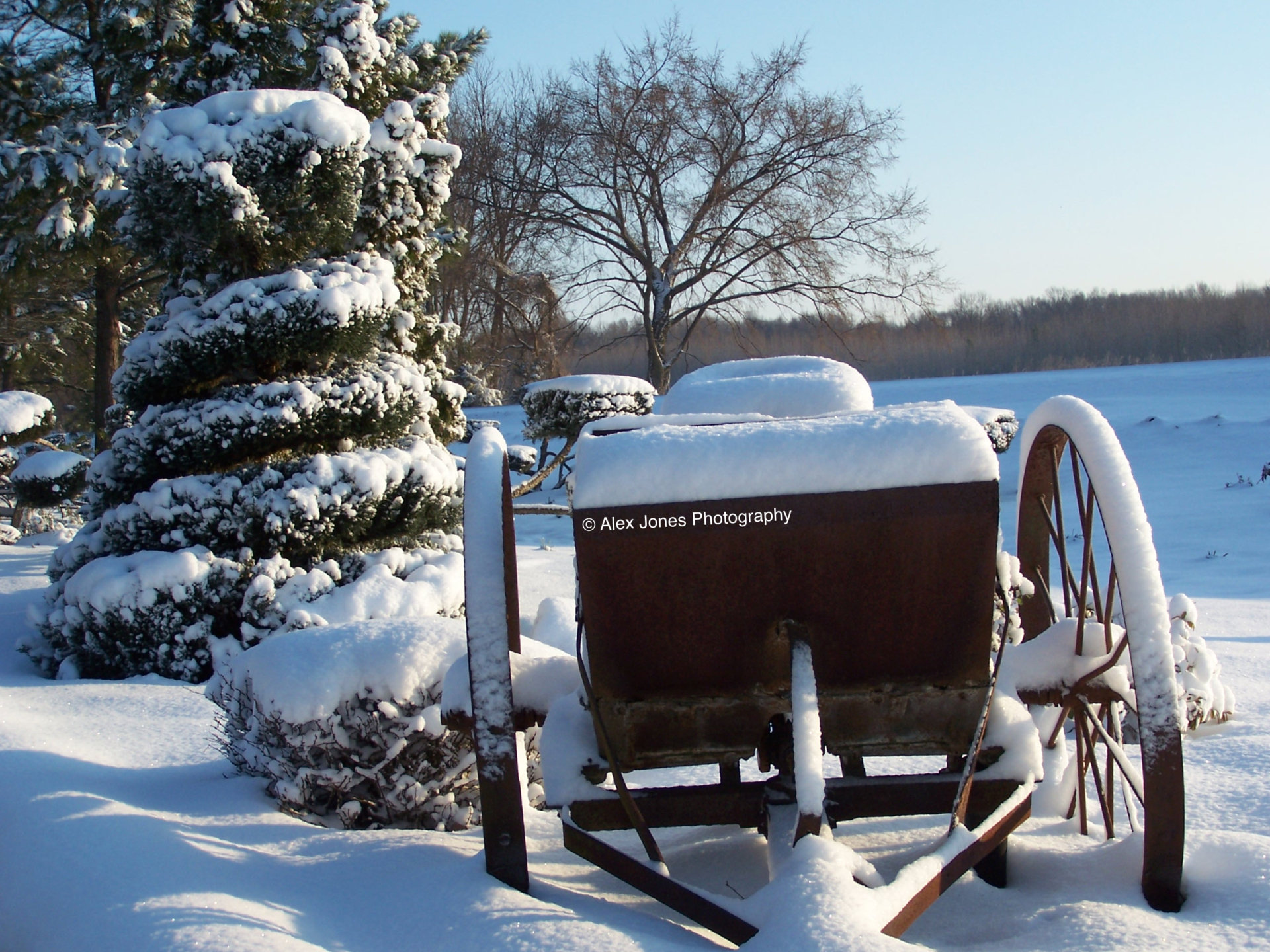 This picture shows an old wagon covered with thick white snow. The snow sits on top of the wagon like a fluffy blanket.