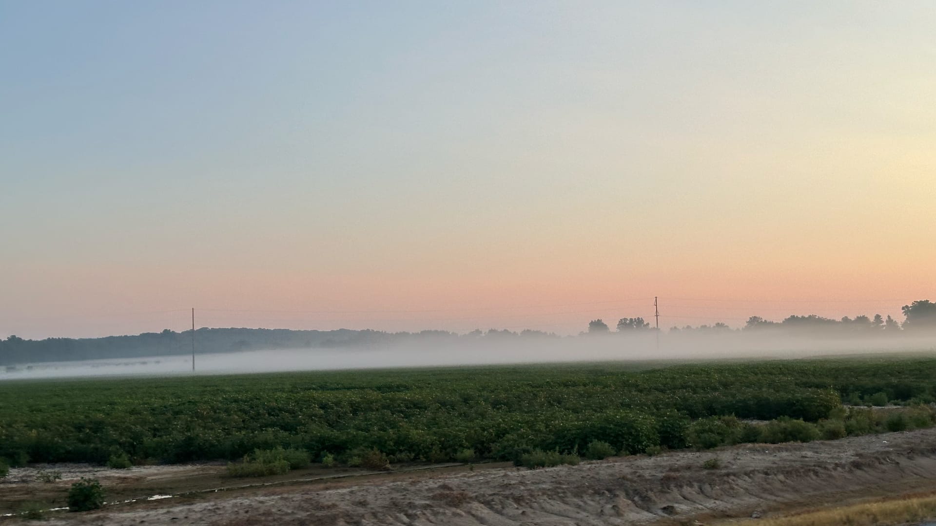 The image shows a misty morning with fog floating low over green farm fields. The sun is rising in the distance, making the sky look pink and orange.