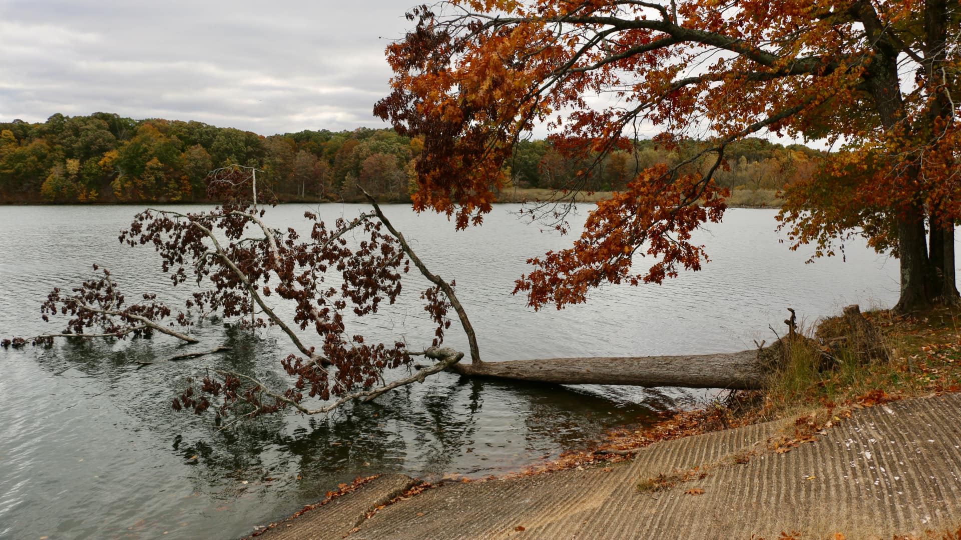 This image shows a peaceful lake surrounded by trees with beautiful fall colors—orange, red, and brown leaves.