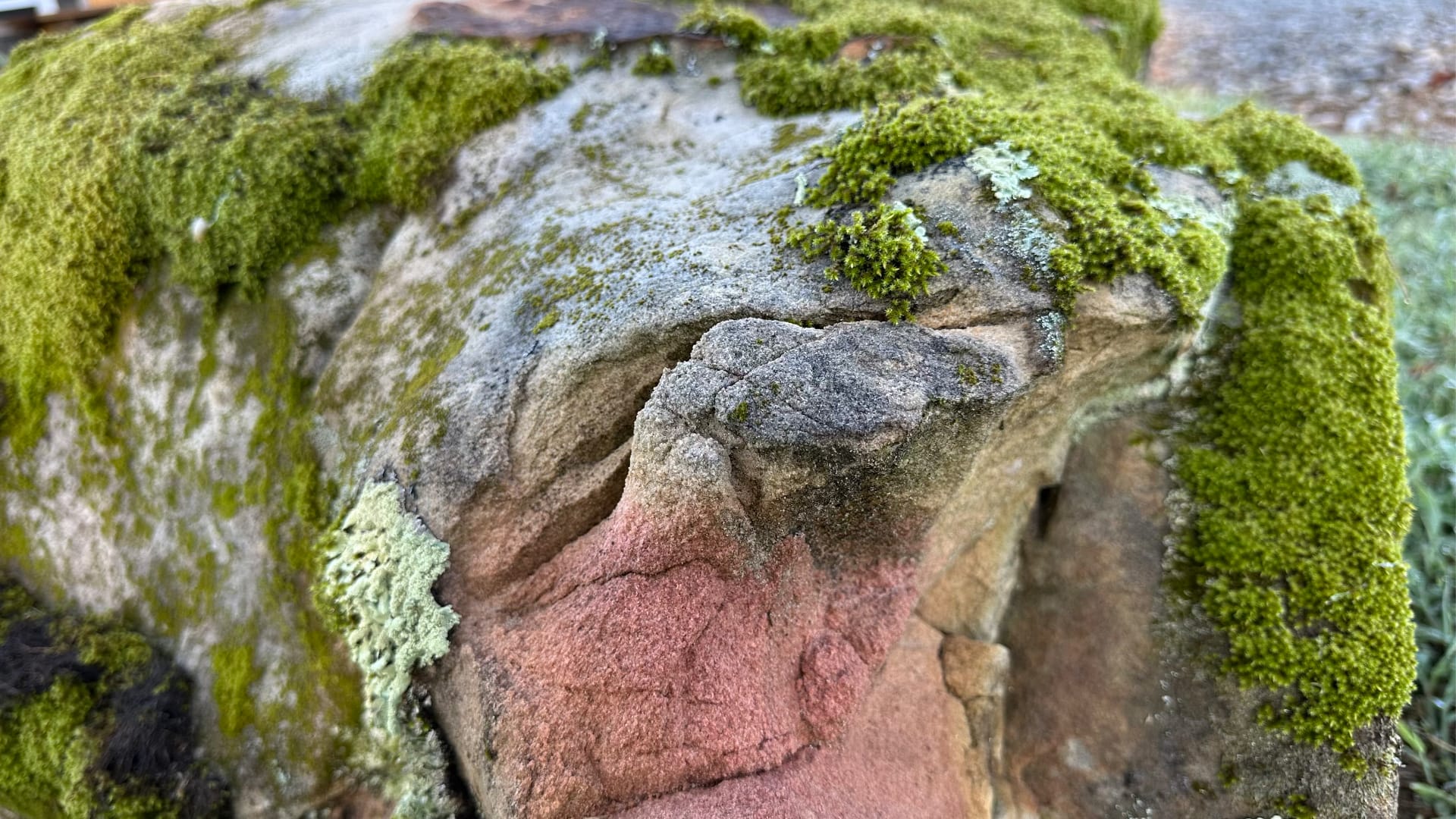 This rock has bright green moss growing all over it in thick, soft patches. The rock also shows different colors like pink, gray, and green in layers.