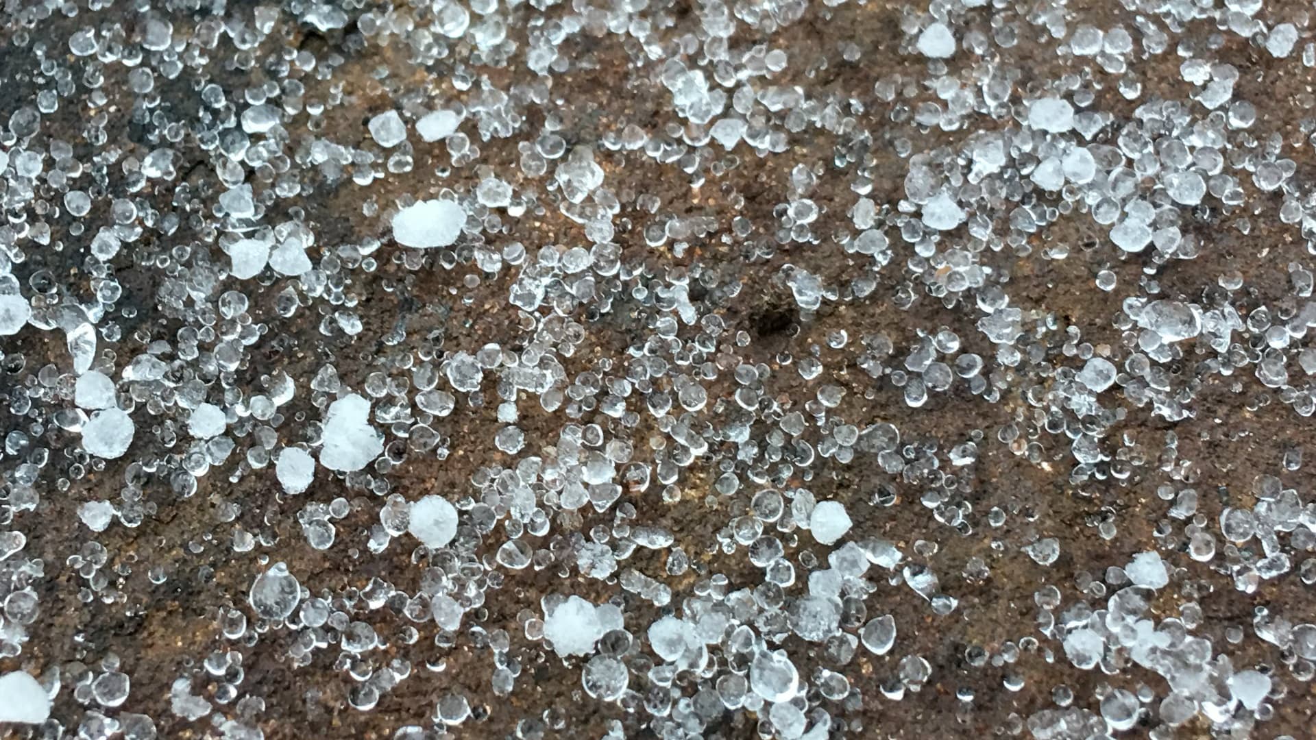 This image shows hail stones of different sizes scattered across wet ground and soil.