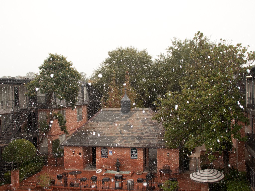 This image shows snow falling on a brick courtyard surrounded by ivy-covered trees and buildings.