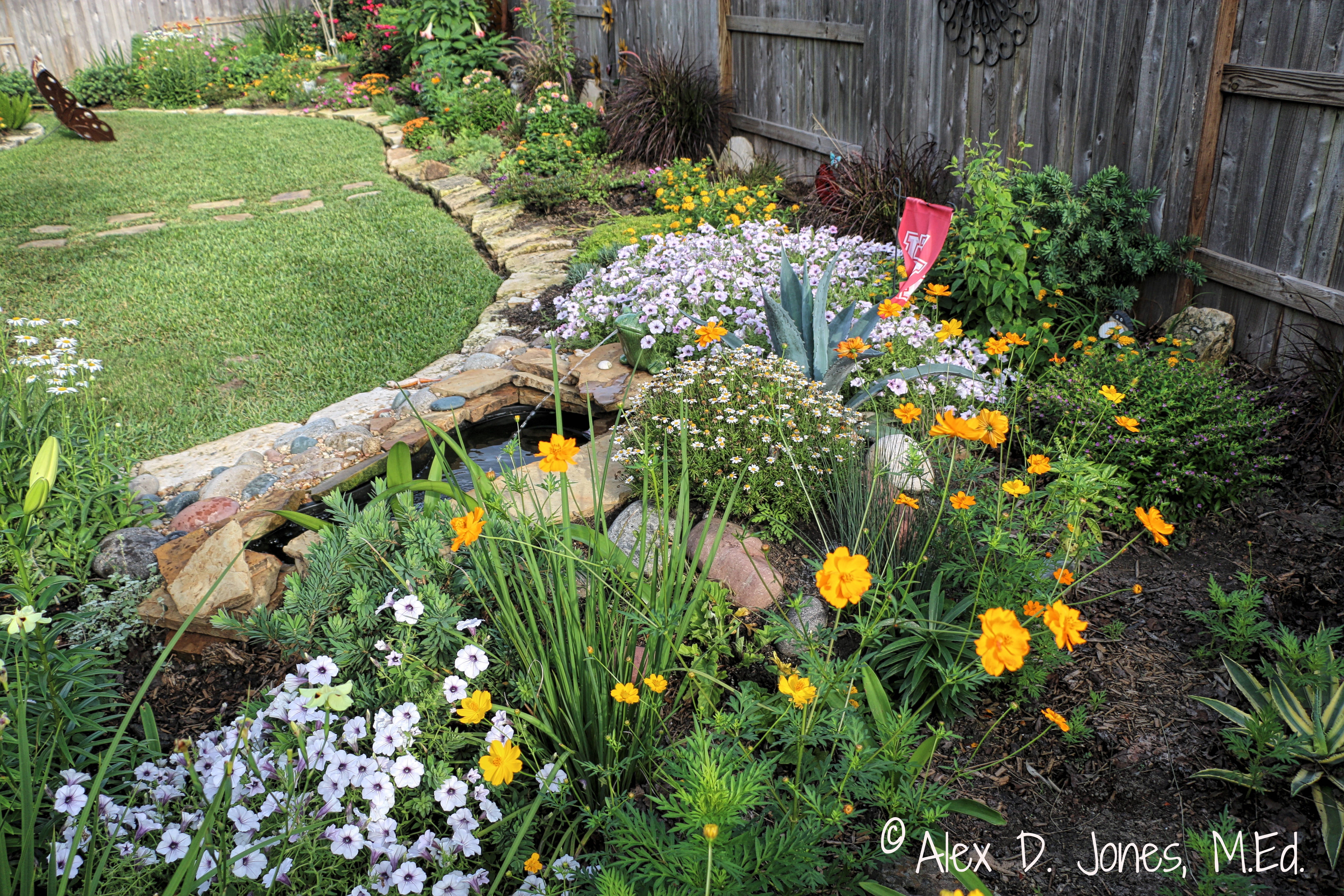 This backyard garden shows many different plants growing together. There are orange and purple flowers blooming, green grass, and plants of different sizes.