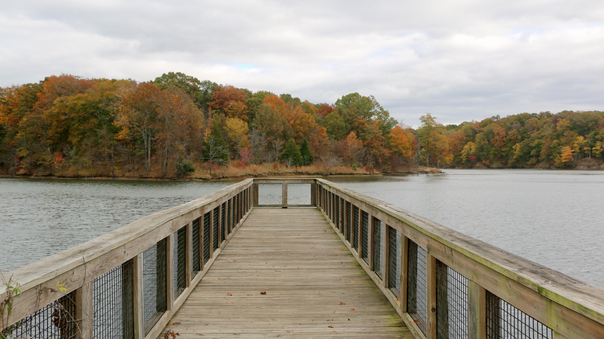 This picture shows a wooden walkway leading to a lake surrounded by trees with colorful fall leaves.