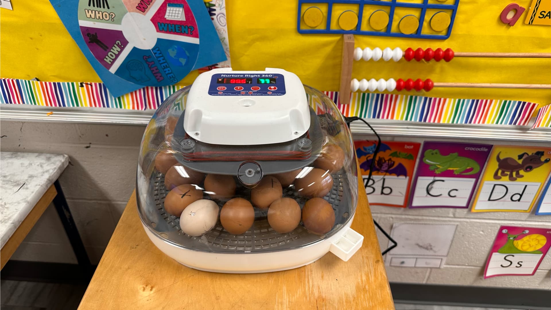 The photo shows an egg incubator filled with several eggs. The incubator is a clear plastic container with a white top that has a digital display showing temperature and humidity.
