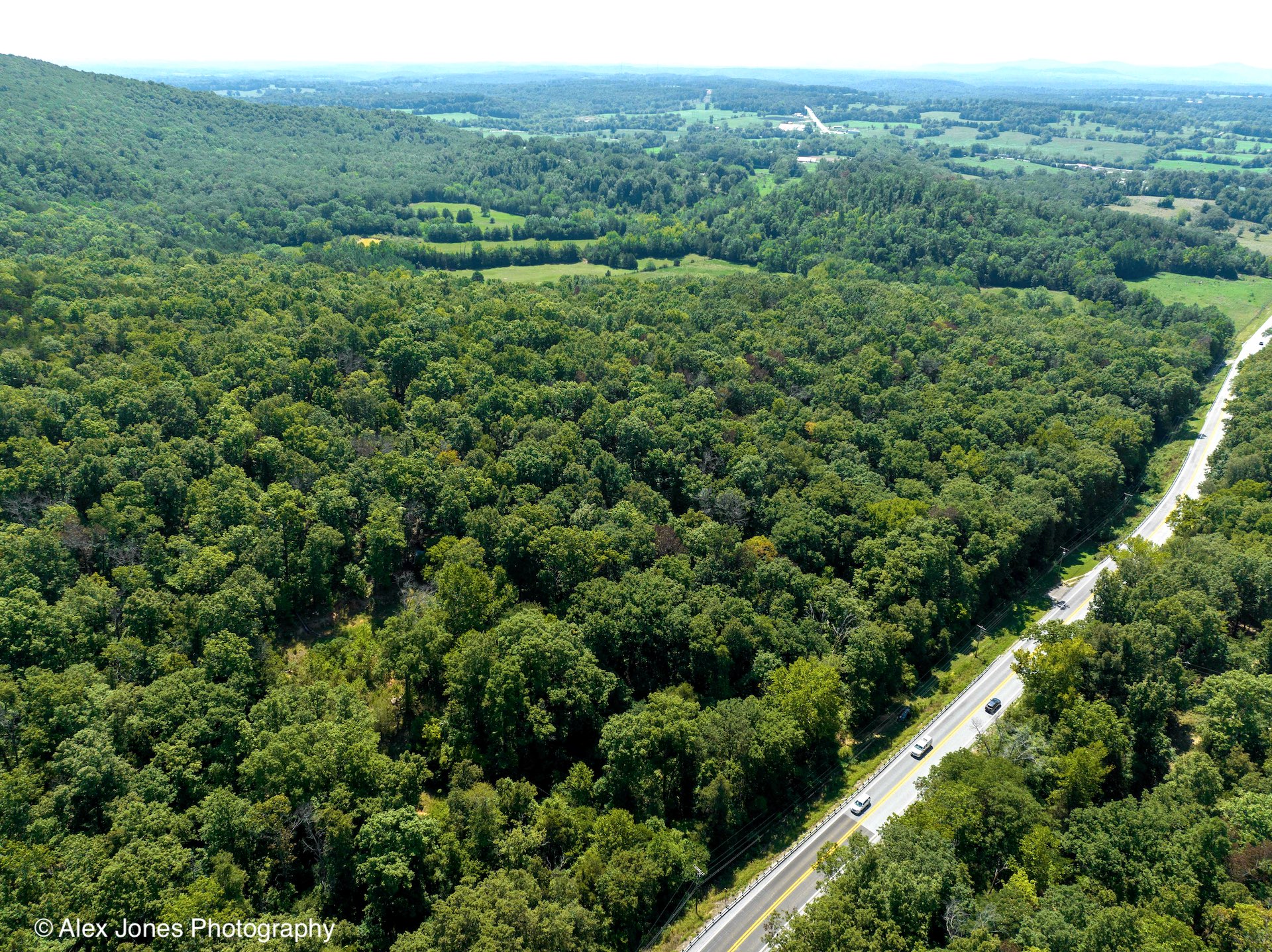 This aerial photograph shows a thick forest of green trees covering hills and valleys.