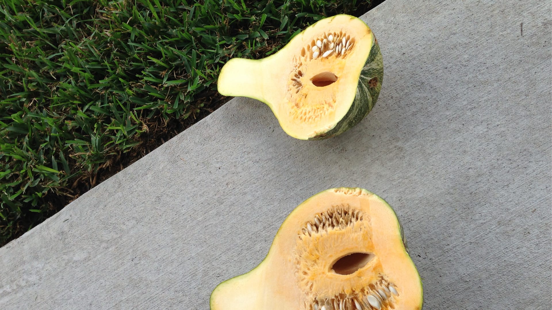 This image shows two halves of a winter squash or butternut squash cut open to reveal the inside.