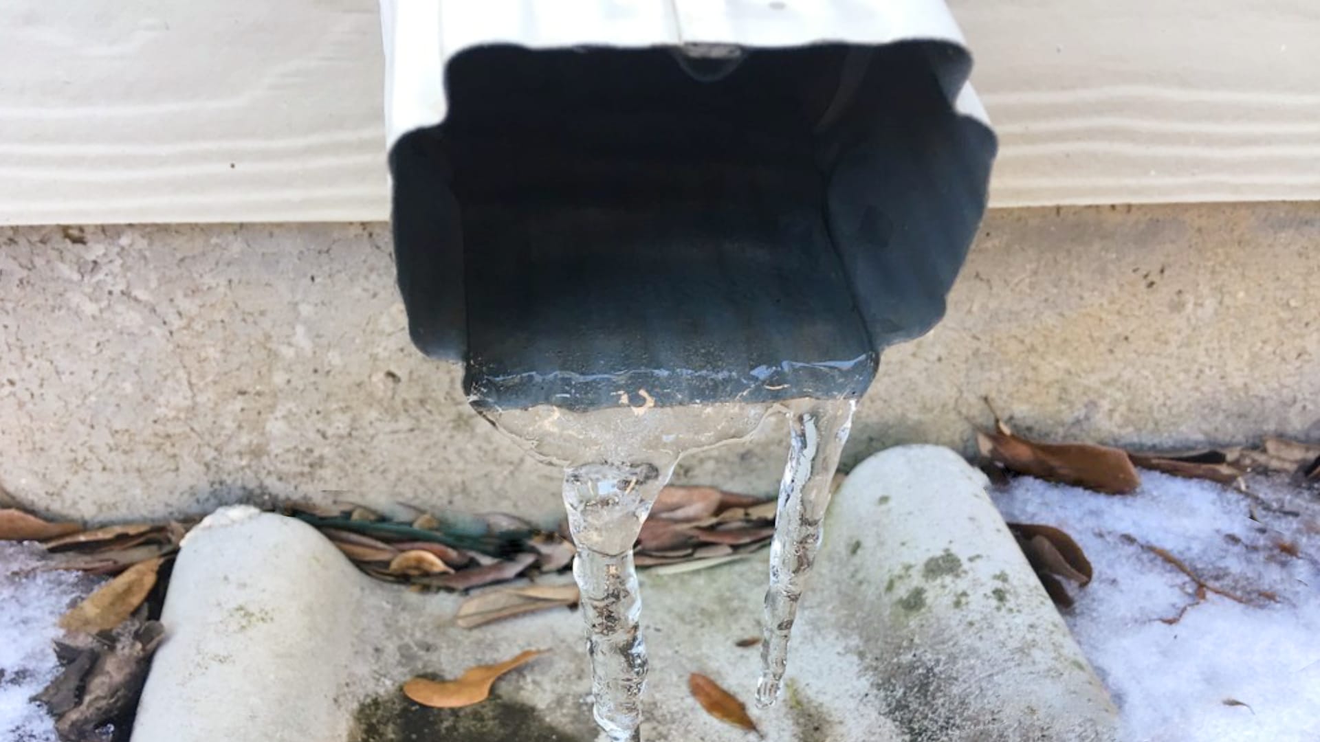 This image shows water frozen solid into icicles hanging from a black container or gutter, with snow and fallen leaves visible on the ground below.