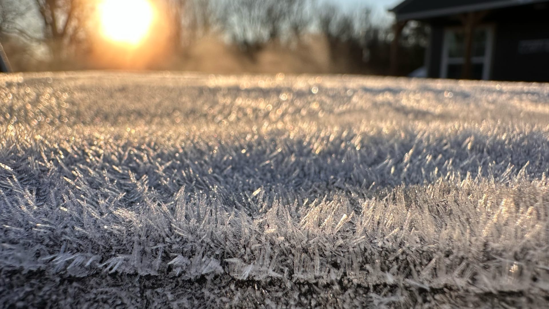 This image shows frost—a thin, sparkly layer of ice crystals—covering a surface on a cold morning.