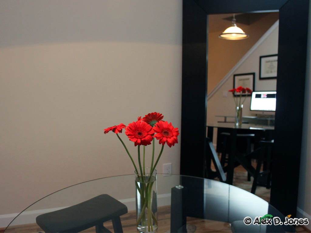 Red flowers sit in a clear glass vase on a shiny table. The flowers have long green stems and bright red petals.