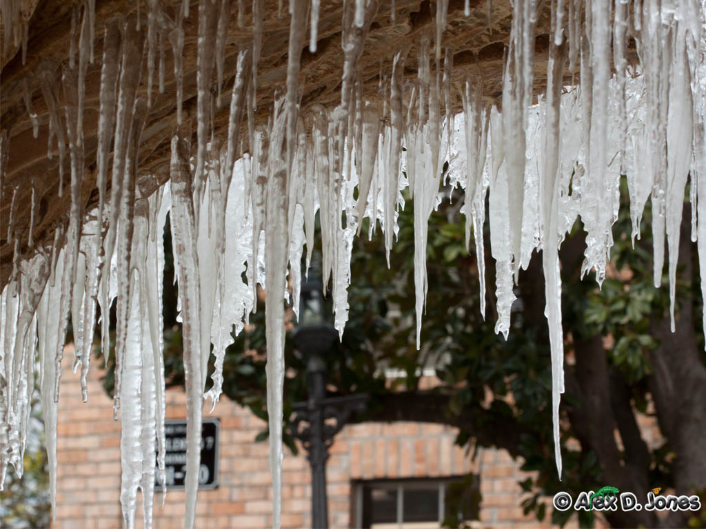 Long, white icicles hang down from the edge of a roof like frozen spears. The icicles are different sizes and shapes, with some being thick and others thin.