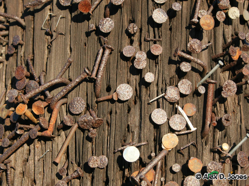 This image shows many old, rusty nails and screws scattered on weathered wooden boards.