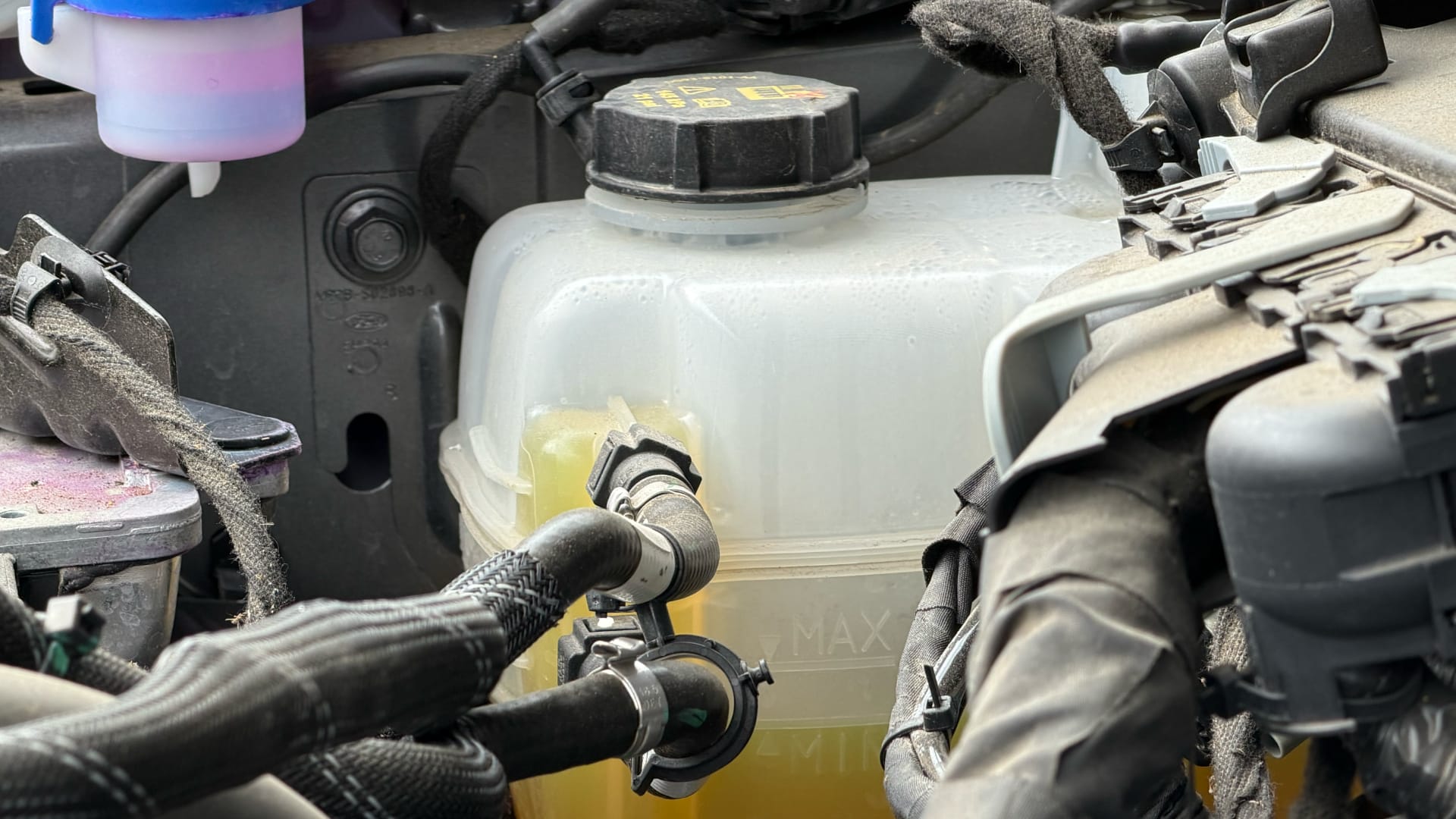 This image shows the engine compartment of a car with a white plastic container filled with yellow liquid—coolant fluid that keeps the engine from getting too hot.