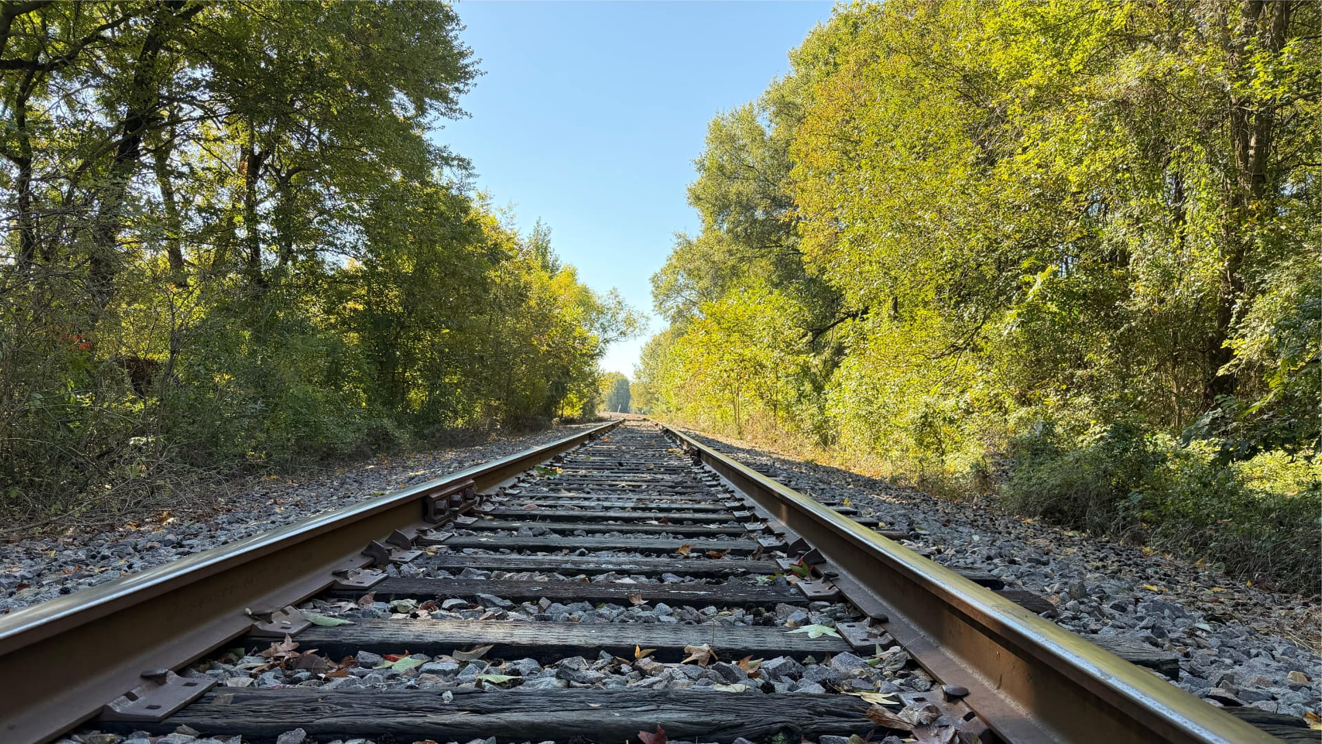 This image shows railroad tracks stretching into the distance, surrounded by trees and green leaves.