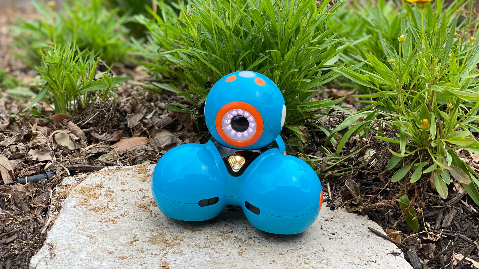 This image shows a small, blue robotic device with a round head featuring large orange eyes and a bright orange sensor ring.
