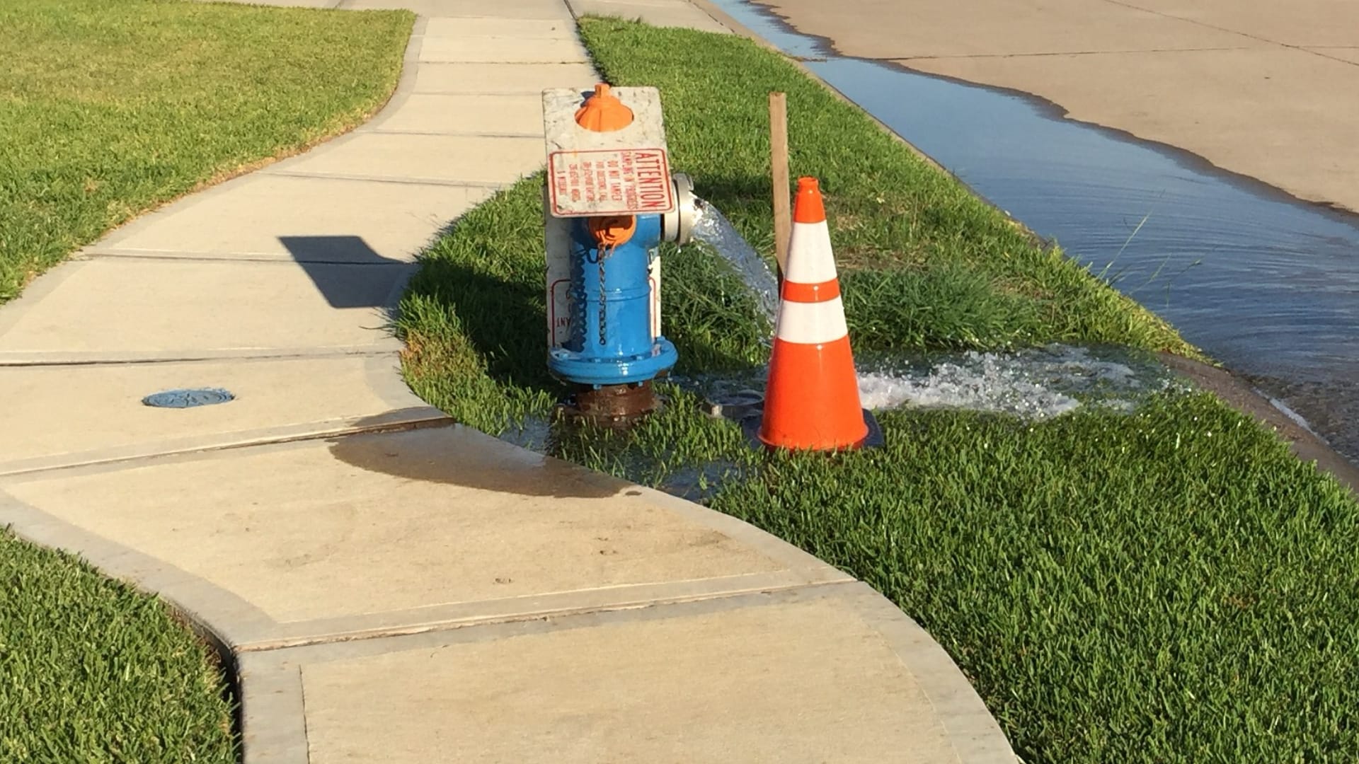 This image shows a blue water valve or meter located near a sidewalk and grassy area, with an orange and white traffic cone beside it next to a small body of water.