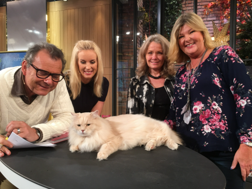 Steffo Törnquist, Jenny Strömstedt, Anna Elmdahl, Susanne Hellman Holmström och S*Knjaze Zlatan efter inspelning på Nyhetsmorgon.. Fotograf: Okänd