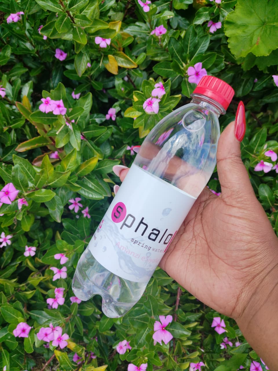 Spring Water
