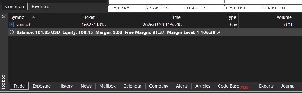 Margin Trading di MetaTrader5