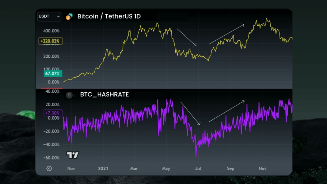 Grafik korelasi antara Hash Rate jaringan Bitcoin dan pergerakan harga BTC akibat sentimen pasar.
