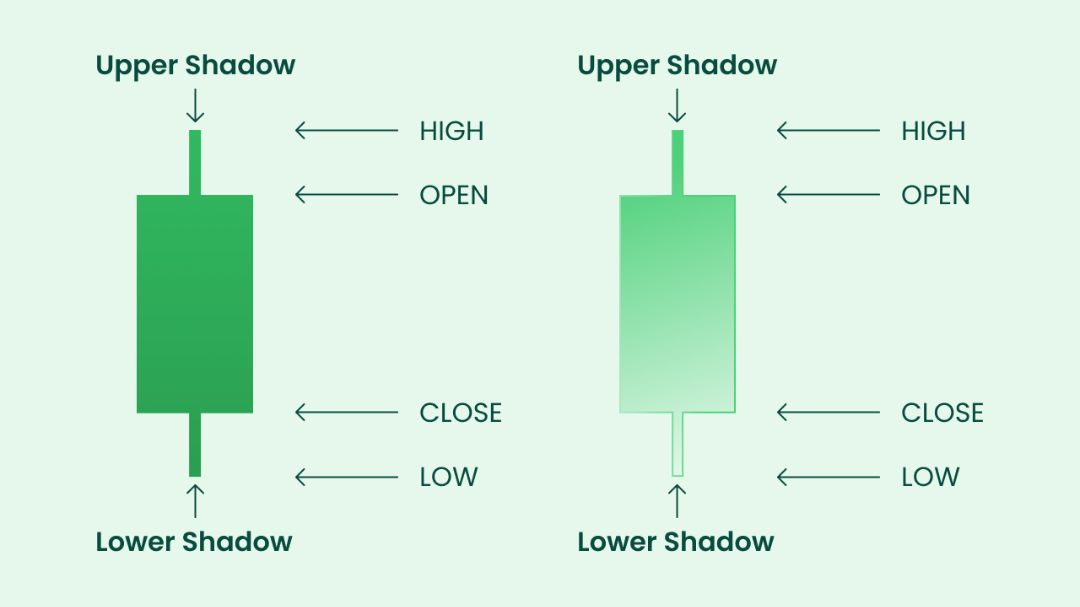 Visualisasi perbedaan warna candlestick bullish hijau dan bearish merah pada chart trading.
