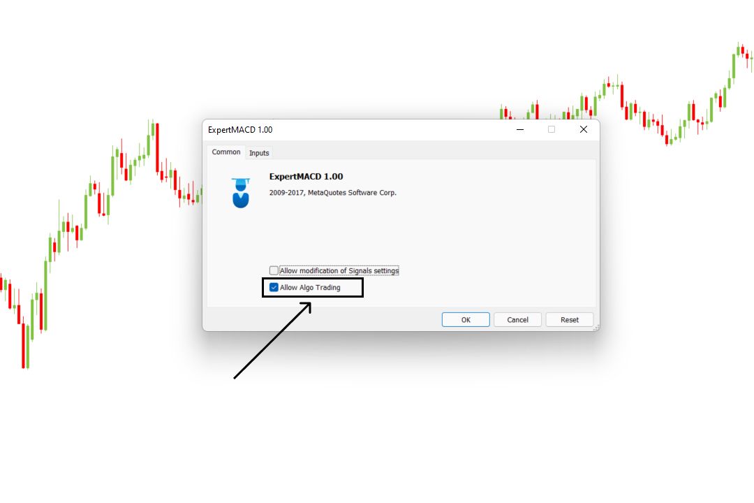 Menunjukkan cara mencentang opsi 'Allow Algo Trading' pada tab Common di jendela pengaturan Expert Advisor MT5.