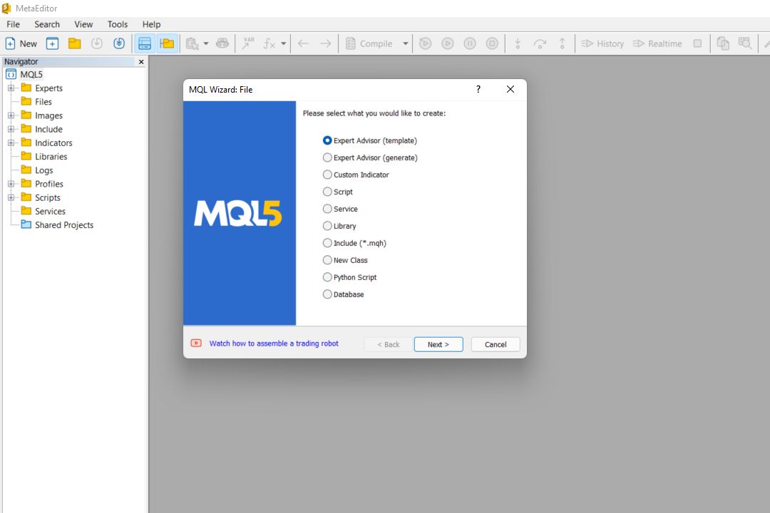 Jendela awal MQL5 Wizard di dalam MetaEditor saat membuat file baru.