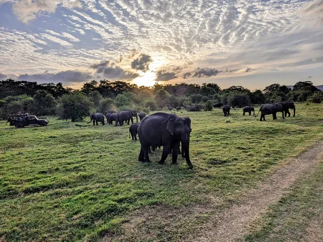 memories-of-sri-lanka-v0-tb99njltnfib1