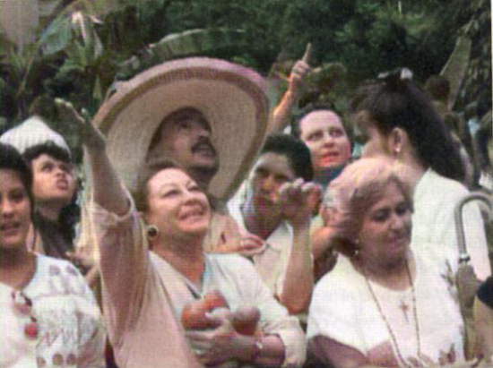 A Miraculous Red Rose