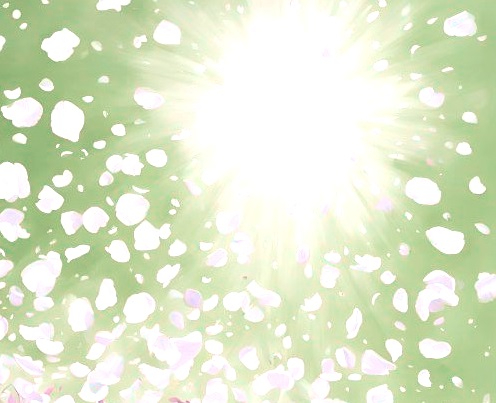 A Shower of Petals From a Clear Sky