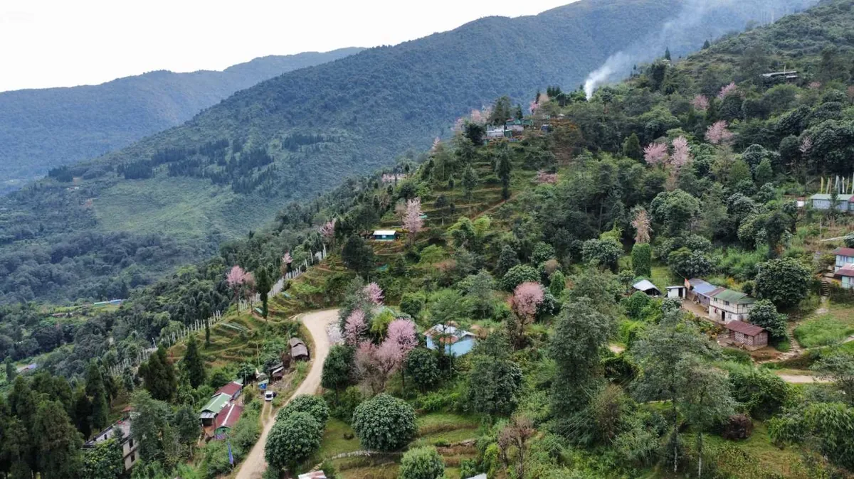Begha Sheep Farm