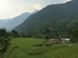 Dzongu