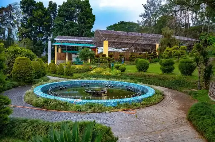 Saramsa Garden