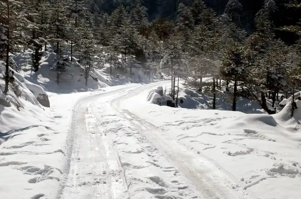 Yumthang valley