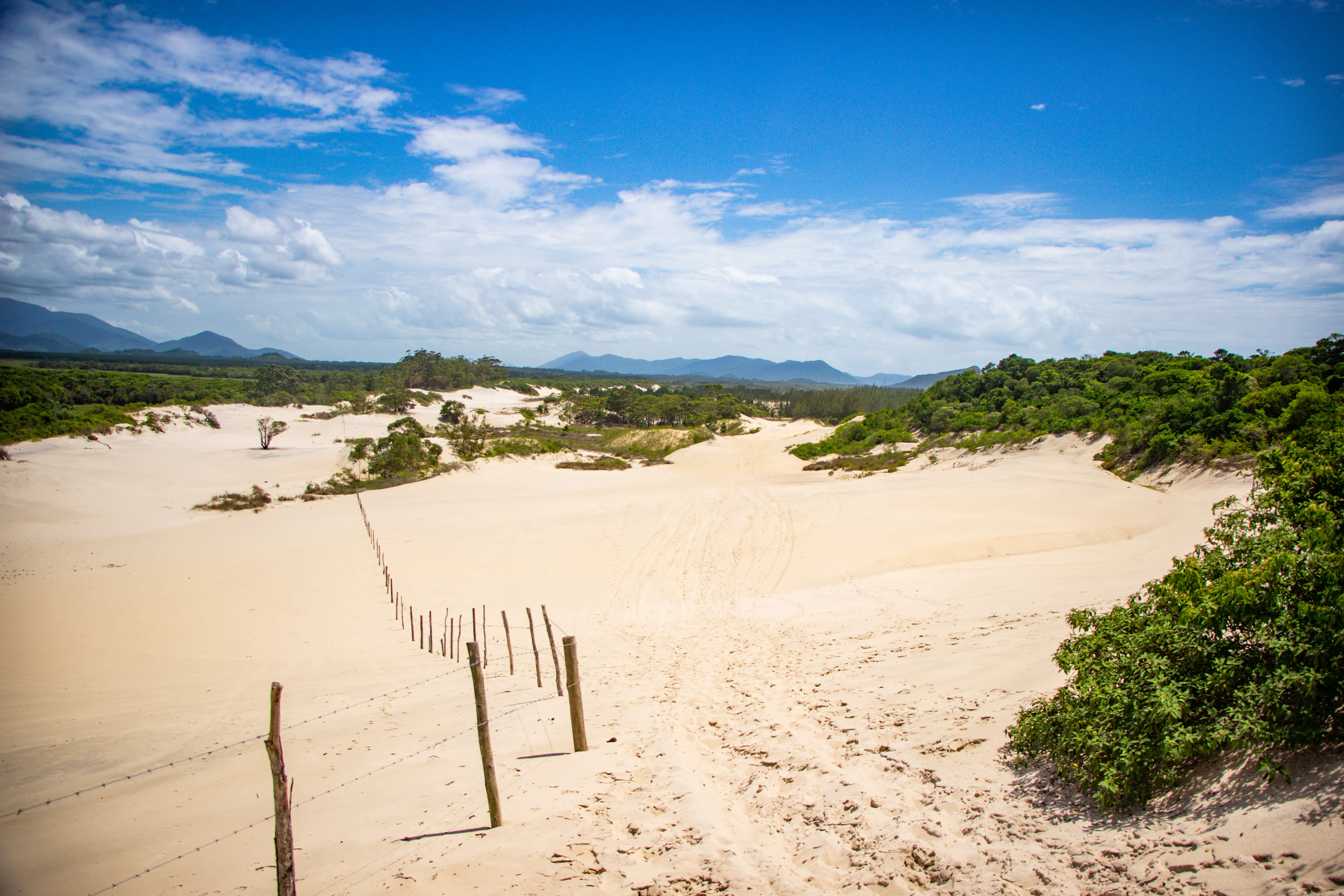 Dunas da Praia Gamboa